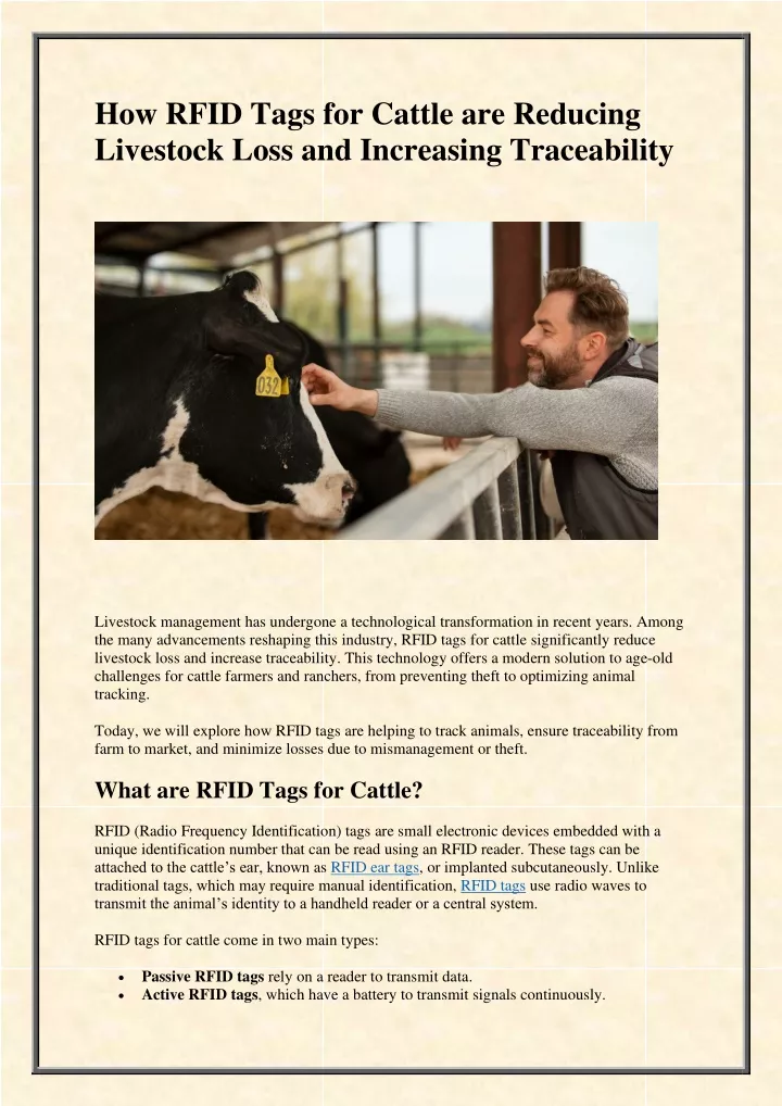 how rfid tags for cattle are reducing livestock