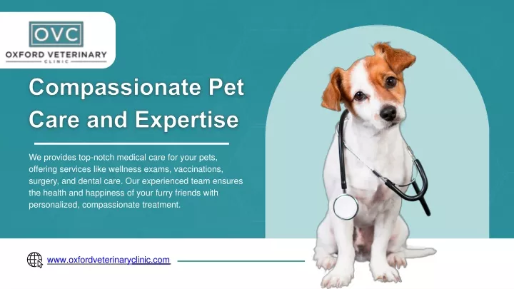 we provides top notch medical care for your pets