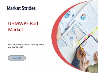 uhmwpe rod market