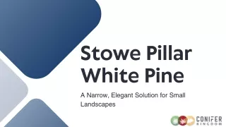 stowe pillar white pine a narrow elegant solution