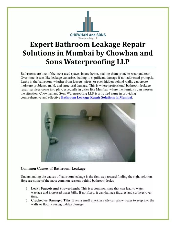 expert bathroom leakage repair solutions