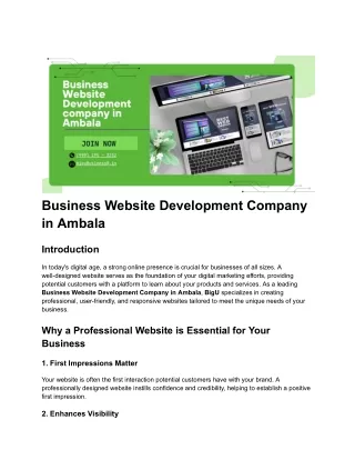 Best Business Website Development Company in Ambala-Elevate Your Online Presence