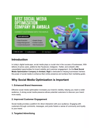 Top Social Media Optimization Company in Ambala - Boost Your Brand with Big