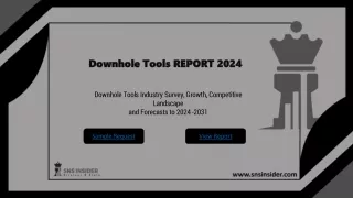 downhole tools report 2024