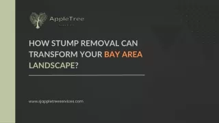 how stump removal can transform your bay area