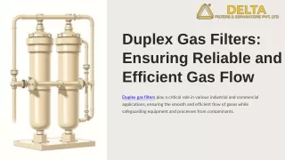 Duplex Gas Filters Ensuring Reliable and Efficient Gas Flow