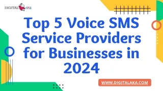 Top 5 Voice SMS Service Providers for Businesses in 2024 (digitalaka.com)