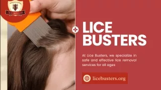 lice busters
