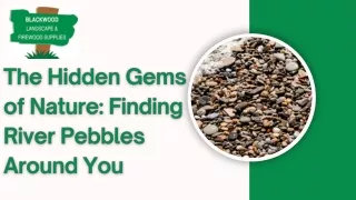 The Hidden Gems of Nature Finding River Pebbles Around You