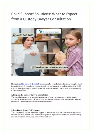 Child Support Solutions  What to Expect from a Custody Lawyer Consultation