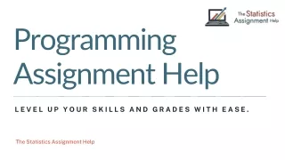 programming assignment help