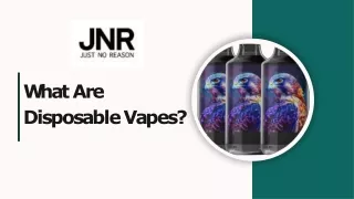 What Are Disposable Vapes?