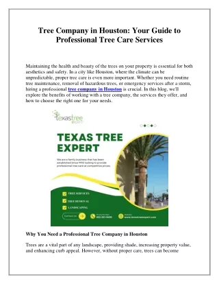 Tree Company in Houston: Your Guide to Professional Tree Care Services