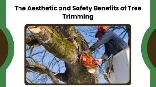 Professional Tree Trimming Services