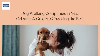 Top 10 Dog Walking Companies in New Orleans | K9 Second Line