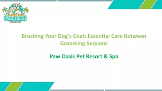 Brushing Your Dog's Coat: Essential Care Between Grooming Sessions