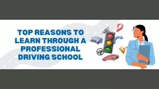 Top Reasons to Learn Through a Professional Driving School