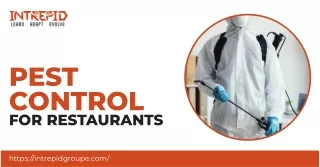 Effective Pest Control for Restaurants by Intrepid