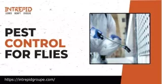 Effective Pest Control for Flies by Intrepid