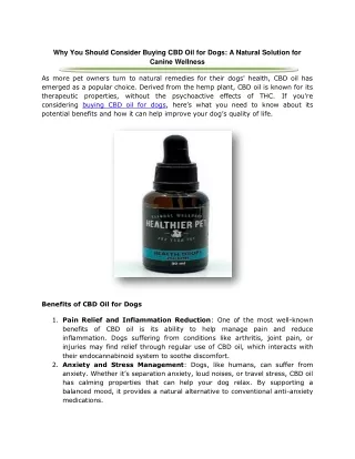 Why You Should Consider Buying CBD Oil for Dogs A Natural Solution for Canine Wellness