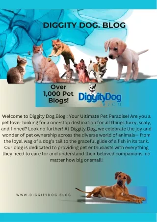 diggity dog blog