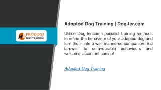 Adopted Dog Training  Dog-ter.com
