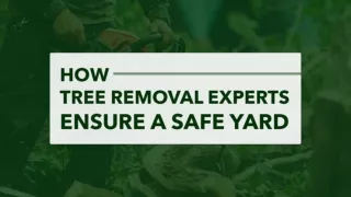 Complete Arbor Inspection and Removal Services