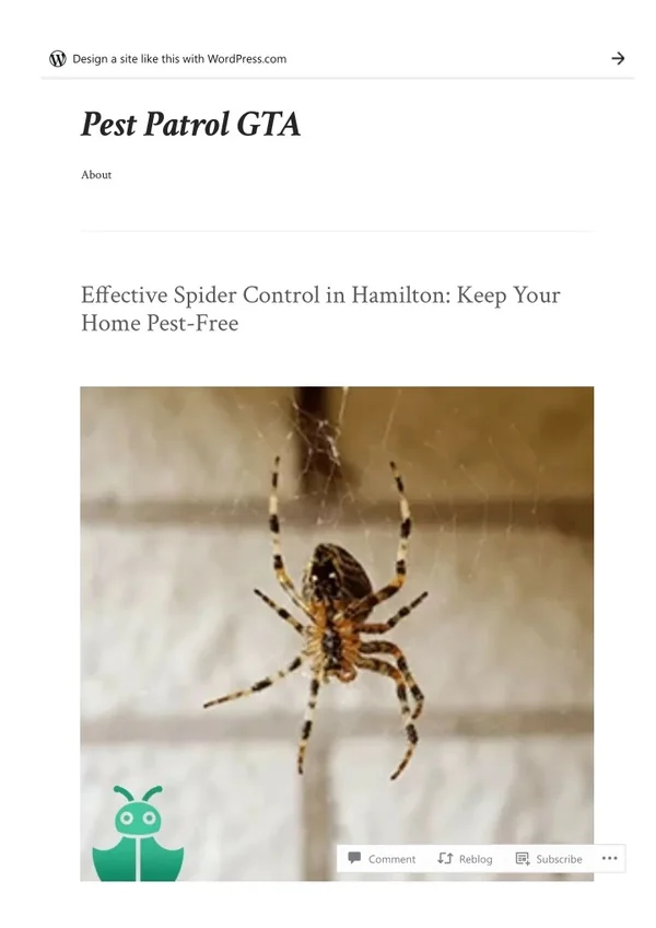 Effective Spider Control in Hamilton: Keep Your Home Pest-Free