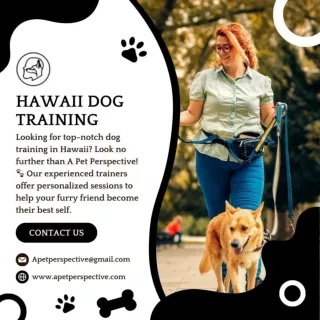Hawaii Dog Training