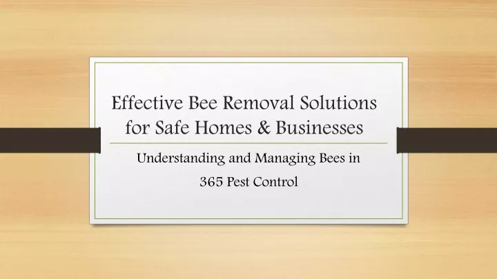 effective bee removal solutions for safe homes businesses