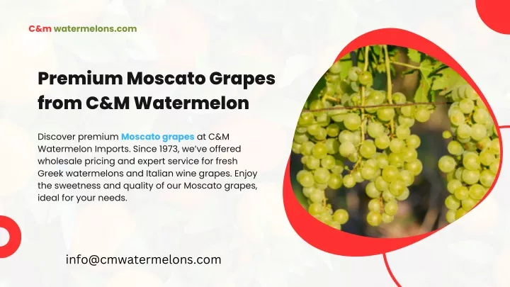 c m watermelons com