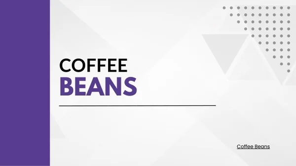 Best Coffee Beans Manufactures - TradersFind