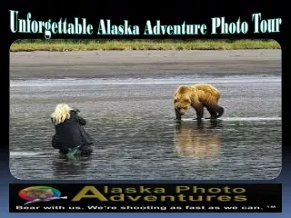 Unforgettable Alaska Adventure Photo Tour