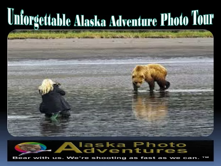 unforgettable alaska adventure photo tour