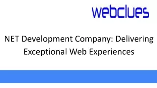net development company delivering exceptional