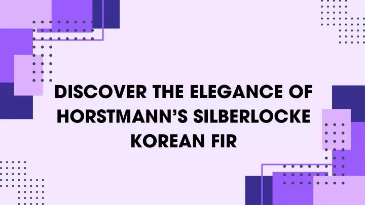 discover the elegance of horstmann s silberlocke