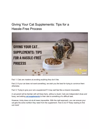 Giving Your Cat Supplements: Tips for a Hassle-Free Process