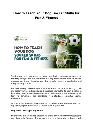 How to Teach Your Dog Soccer Skills for Fun & Fitness