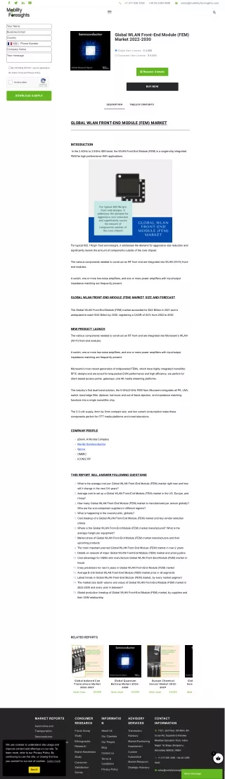 Global WLAN Front-End Module (FEM) Market