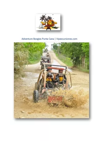 adventure boogies punta cana vipexcursiones