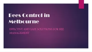 Bees Control in Melbourne PPT