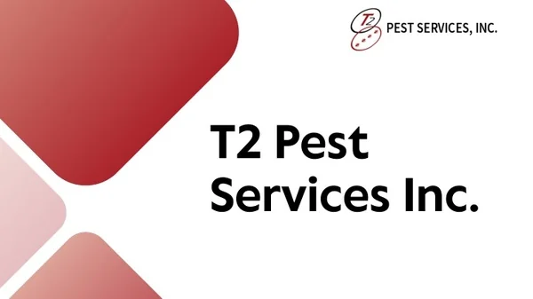 Reliable Pest Management Services in Ahwatukee, Arizona