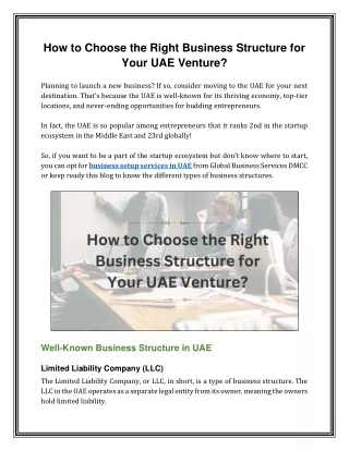 How to Choose the Right Business Structure for Your UAE Venture