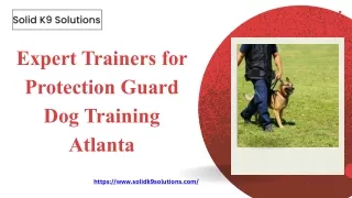 Expert Trainers for Protection Guard Dog Training Atlanta