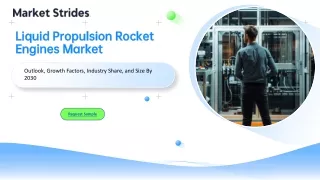 Liquid Propulsion Rocket Engines Market Growth: Industry Analysis and Forecast 2