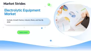 Electrolytic Equipment Market Growth: Industry Analysis and Forecast 2031 | Mark