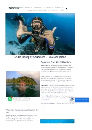 Discover Aquarium Dive Site on Havelock Island