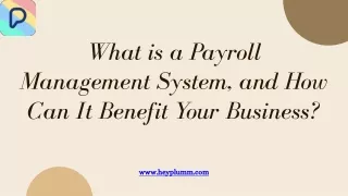 What is a Payroll Management System, and How Can It Benefit Your Business