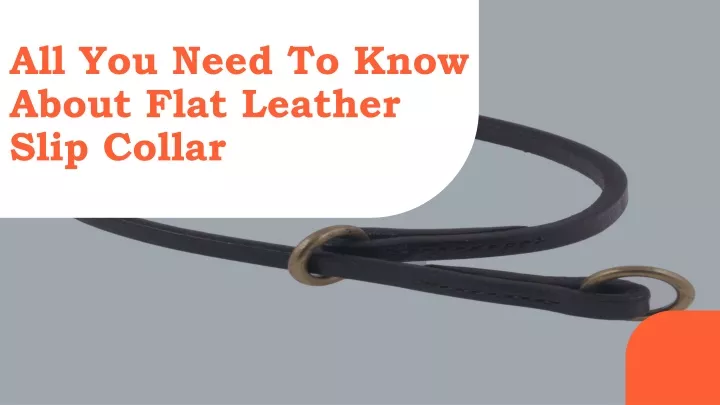 all you need to know about flat leather slip collar