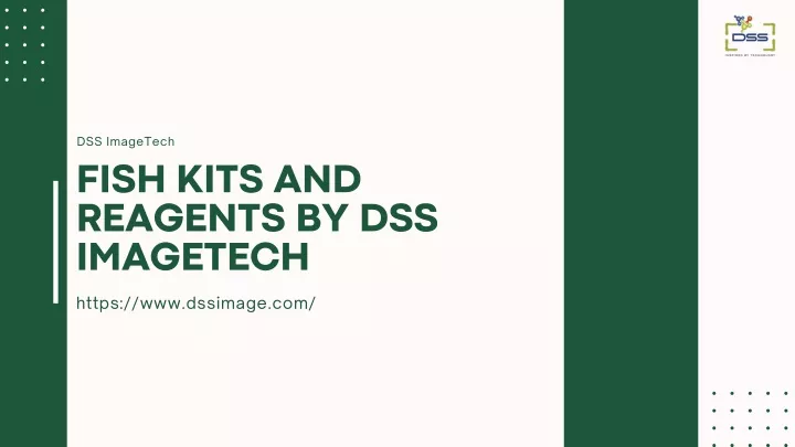 dss imagetech